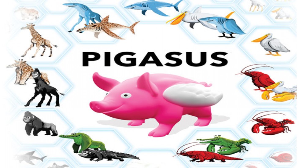 Pigasus (FR/EN) - Location 